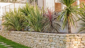 A stone retaining wall with a variety of plants, including palm trees and agave plants, in front of a building with a white exterior and metal bars. - 2 bedroom cozy home in Allan (Allan)