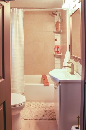 Hiustenkuivaaja, pyyhkeet, saippua, sampoo