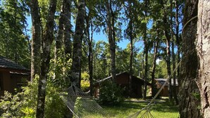 A hammock in a forested area with trees and greenery. - Casa Tuwa Cabañas en pucón (Pucón)