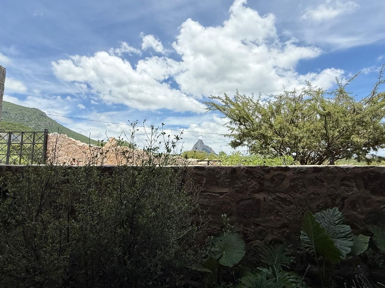 ラグジュアリー ダブルルーム バルコニー マウンテンビュー | テラス / パティオ