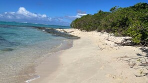 Playa en los alrededores 
