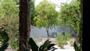 A covered outdoor area with a tiled roof, a large tree, and various plants. - BomjaMinas property, swimming pool, bed linens and towels, 17 km from Inhotim. (Mário Campos)