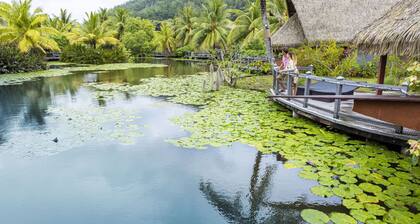 HUAHINE- Fare Arc-en-Ciel vue mer