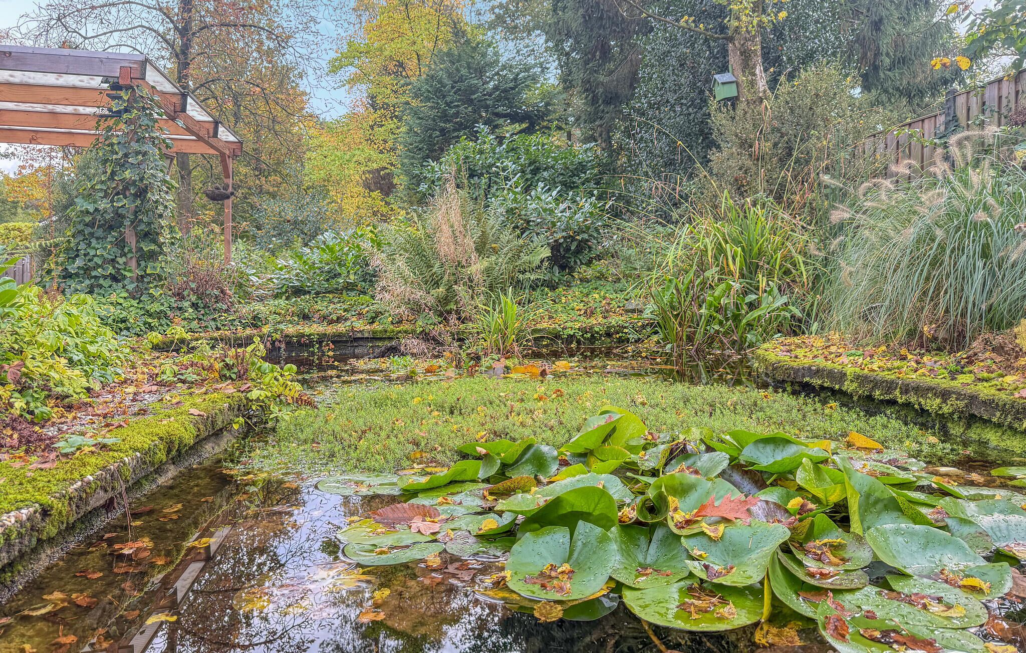 Terrein van de accommodatie