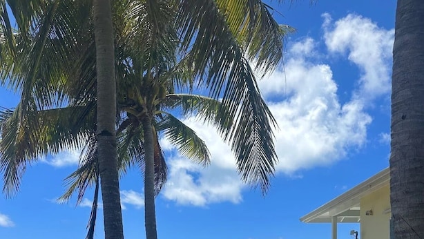 A coastal property with a white building, a staircase leading to a deck, and a view of the ocean. - Spacious 6-bedroom villa with AC and large private pool (Christiansted)