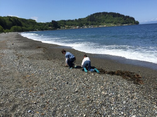 Delightful campground in Sekiu/ Clallam Bay with stunning views