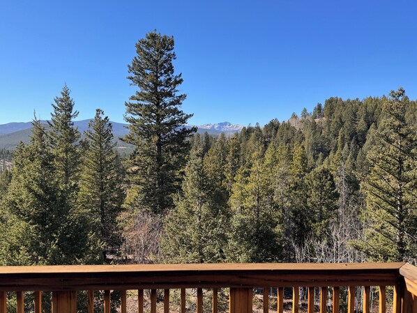 Property grounds - Peaceful 3 bedroom cabin near Nederland with breathtaking views (Black Hawk)