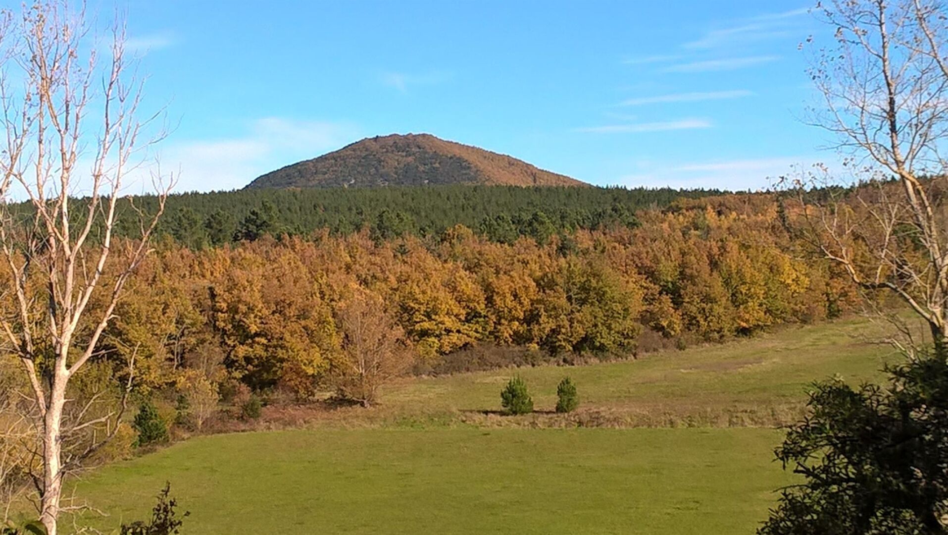 Un paisaje montañoso con zona boscosa y campo cubierto de hierba.