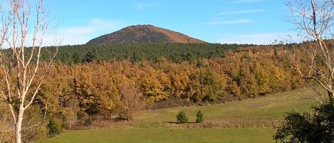 Un paisaje montañoso con zona boscosa y campo cubierto de hierba.
