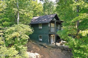 Arial - Treestand Cabin at Gap Creek Cabins (Scott County)