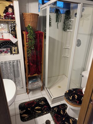 Shower, towels, soap, toilet paper