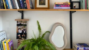 En bokhylla med böcker, en inramad tavla och en växt.