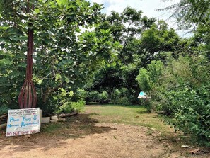 Casa (1 Bedroom) | Interior