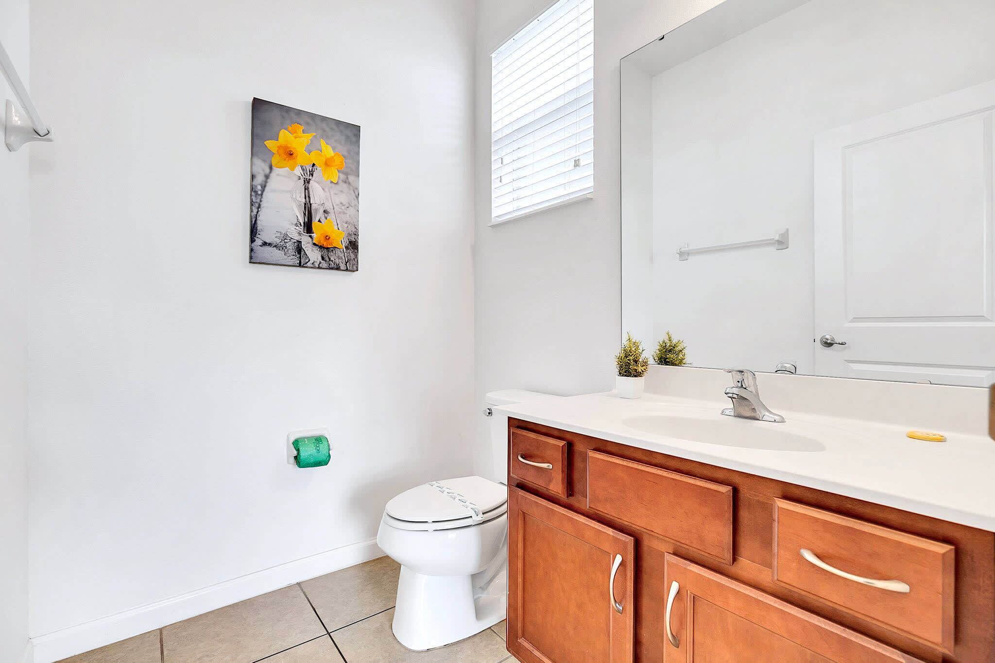 A bathroom with a toilet, a sink with a mirror, wooden cabinets, and a wall-mounted picture.