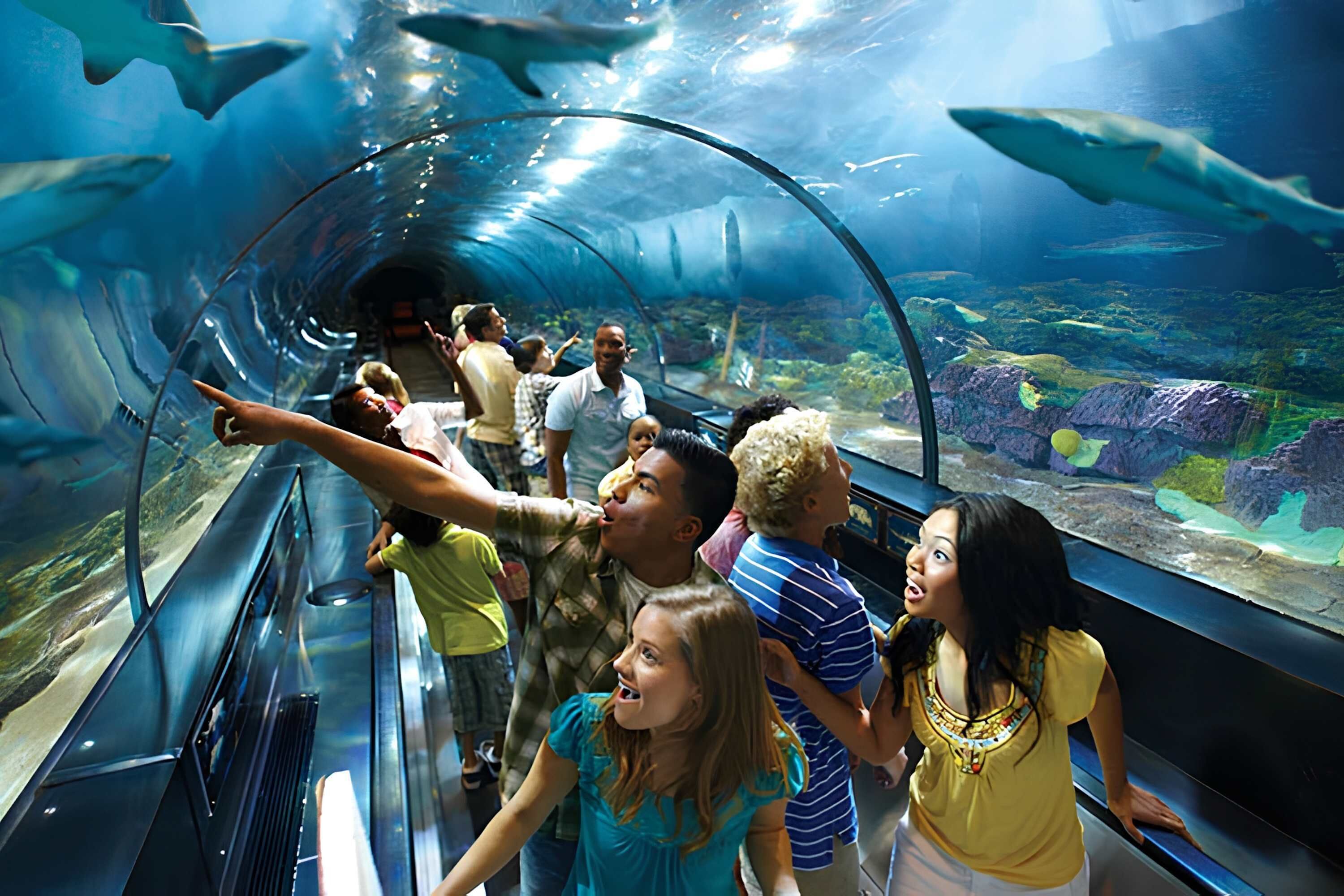 Een overdekte gang door een aquarium, waar bezoekers haaien bekijken.