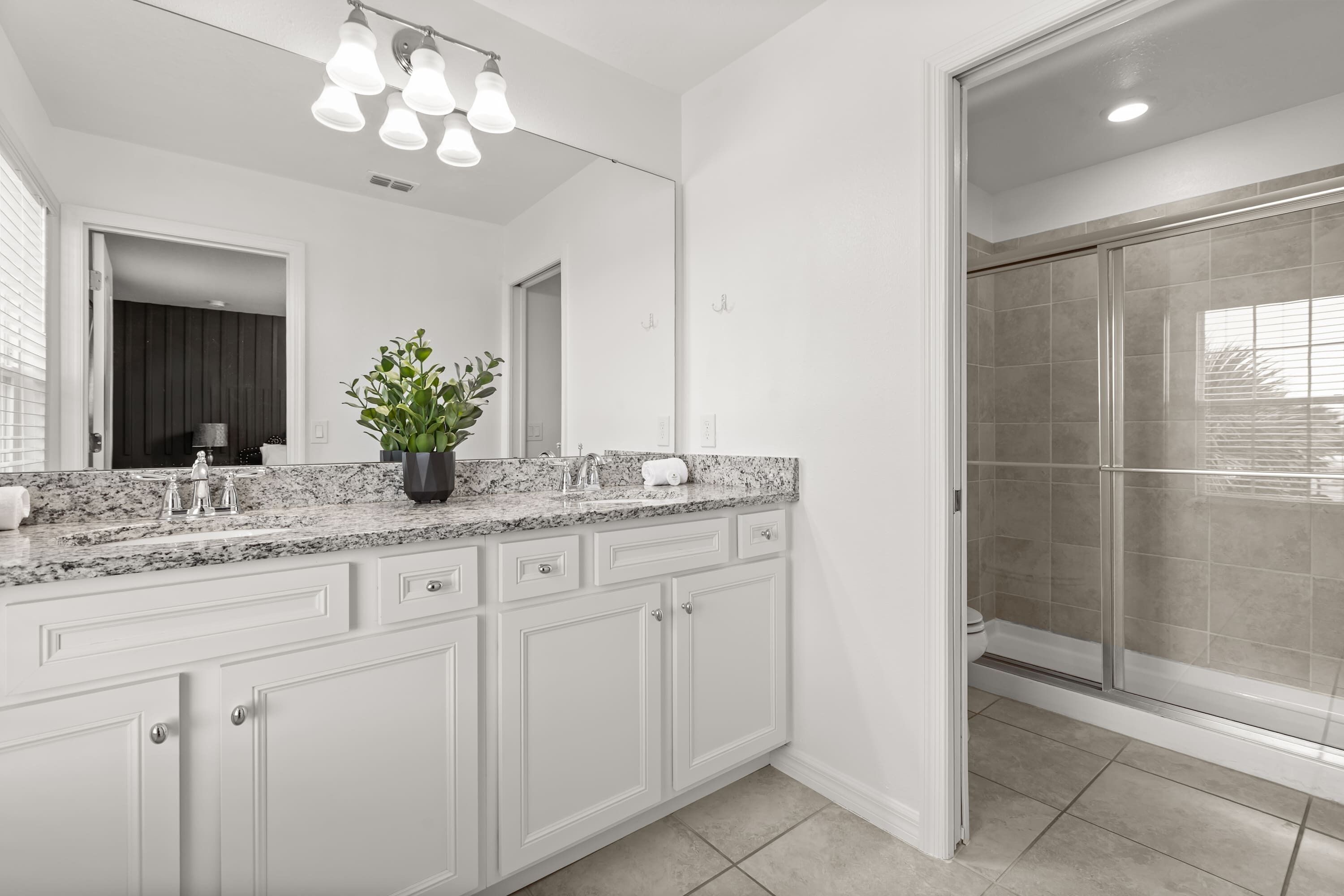 A modern bathroom with a large vanity, a shower with glass doors, and a potted plant on the counter.