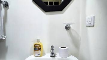 Shower, towels, soap, toilet paper