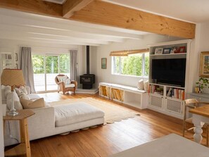 TV, fireplace, books