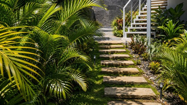 A stone staircase leading up to a building with a white railing, surrounded by lush greenery and potted plants. - Las Naveiras 5 (Tamarindo)