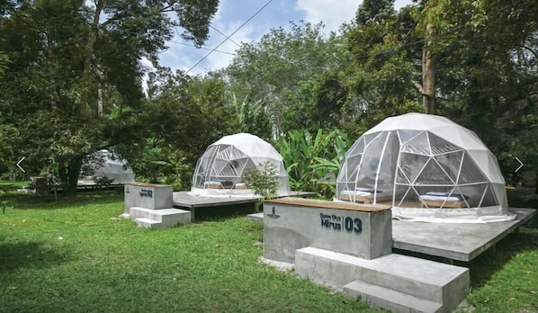 Una serie de estructuras de cúpulas geodésicas con bases de hormigón, rodeadas de abundante vegetación.