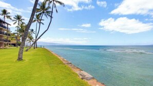 A beachfront property with a grassy lawn, palm trees, and a view of the ocean. - Beachfront • Pool + Hot Tub • Pickleball, Tennis (Lahaina)
