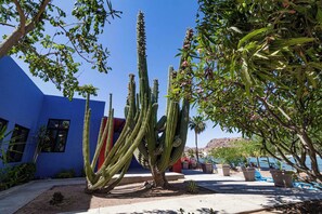 Property grounds - Ocean front casa! Amazing views, jump into the water! Central location w/ wifi! (San Carlos Nuevo Guaymas)