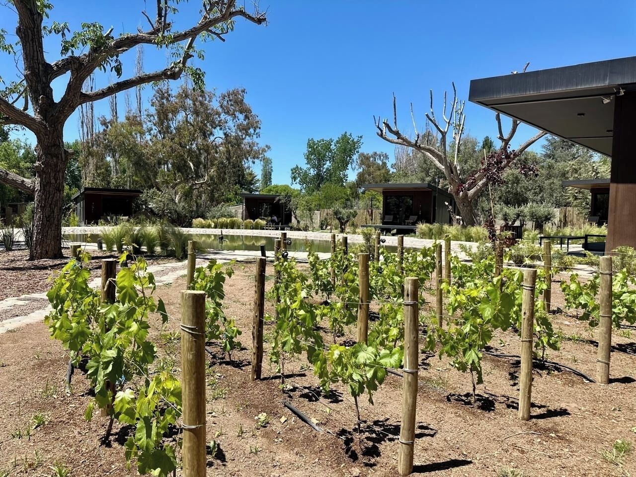 Áreas de la propiedad