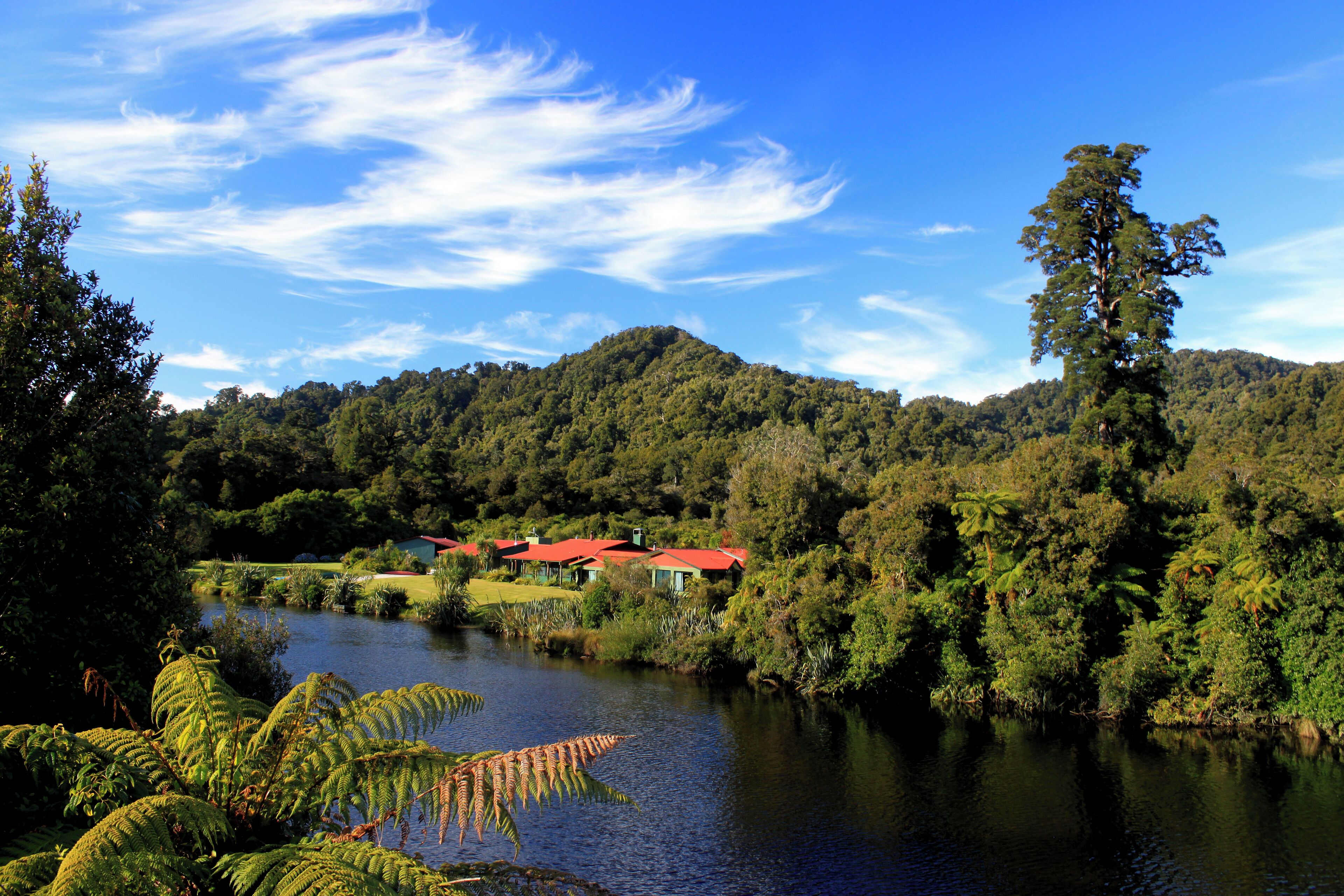Una vista tranquila del lago con un edificio de techo rojo rodeado de abundante vegetación y un árbol alto.