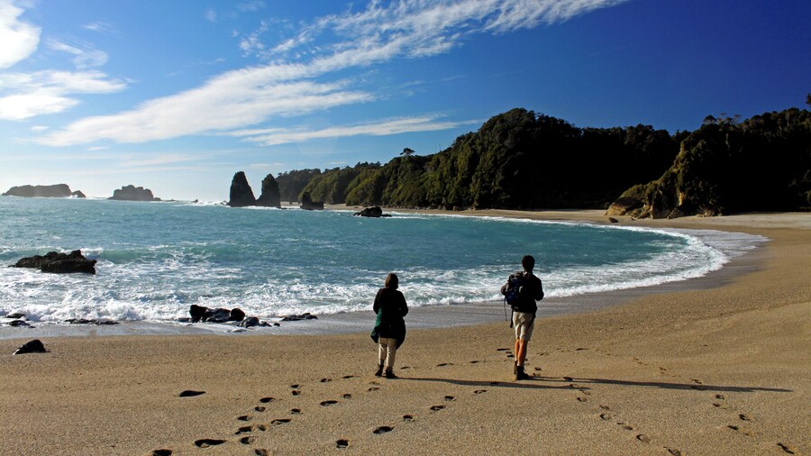 Wilderness Lodge Lake Moeraki