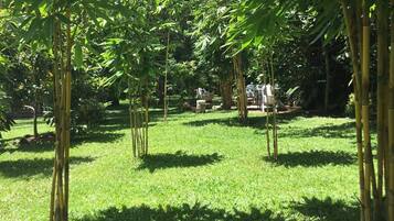 Habitación, 1 habitación, balcón, vista al jardín | Jardín