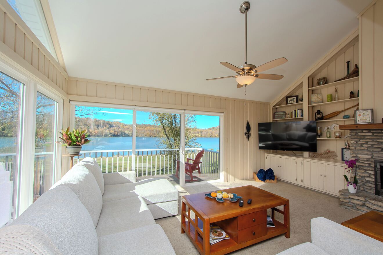 Smart TV, fireplace, books