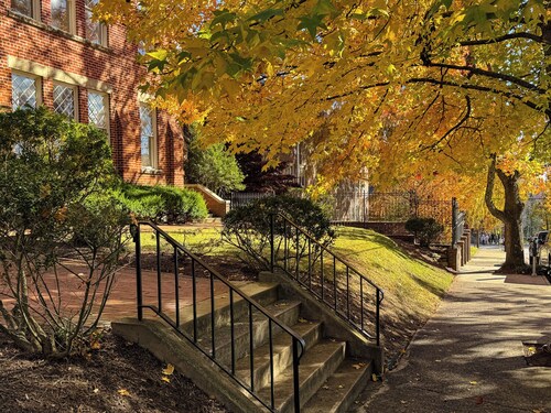 The Altamont | Book The Altamont Entire Building | 8 Luxury Condos on Historic Church Street