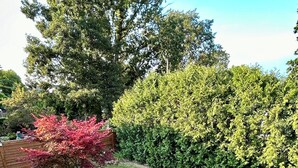 Eine Terrasse mit einem Glastisch, zwei Stühlen und einer Couch mit Kissen.