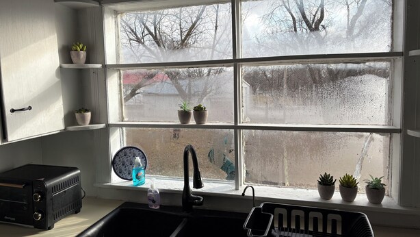 Una cocina con ventana, lavamanos, tostadora y plantas en macetas.