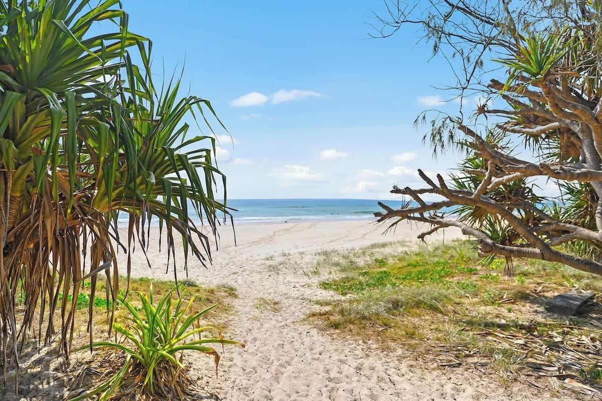 Un sendero bordeando la playa que lleva al océano, con palmeras a la izquierda y un gran árbol a la derecha.