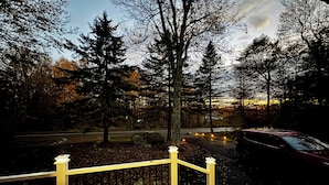 Una terrazza con ringhiera che si affaccia su una zona boschiva con una strada e un'auto parcheggiata.