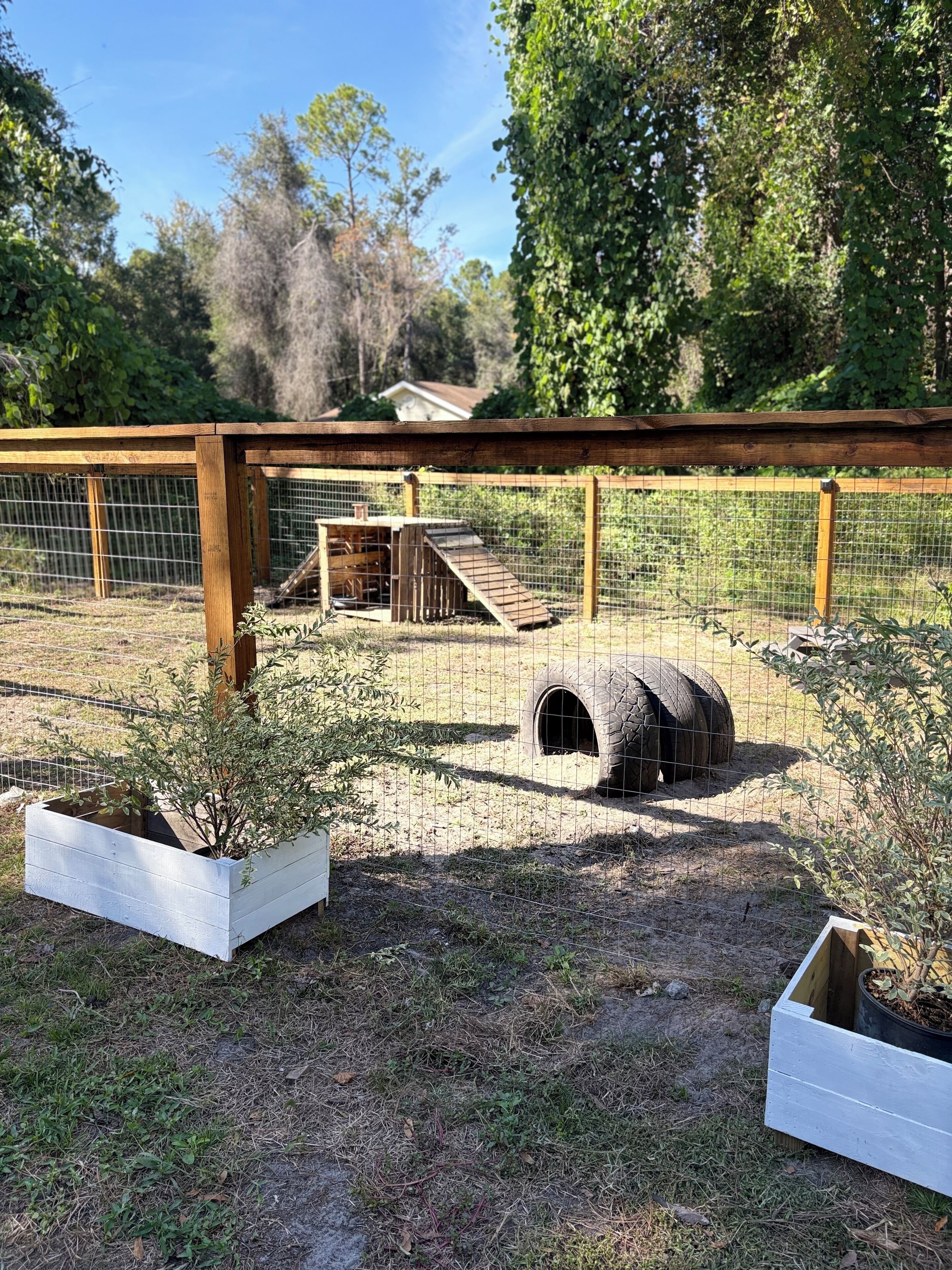 Pet-friendly amenities