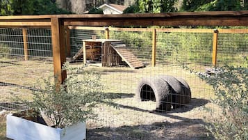 Pet-friendly amenities