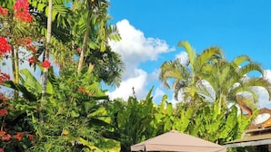 Comfort Villa, Private Pool, Garden View | Terrace/patio - Villa Casa Jamika (Legian)