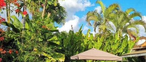 Villa Confort, piscine privée, vue jardin | Terrasse/Patio