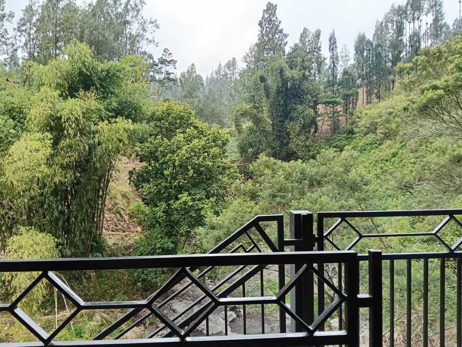 Blick vom Balkon mit Metallgeländer auf eine üppige, grüne Landschaft mit dichten Bäumen und einer felsigen Anhöhe.