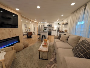 Smart TV, fireplace, books