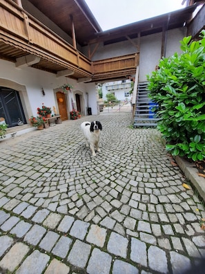 Área da propriedade