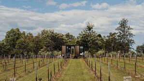 A modern, single-story building with a prominent yellow door, surrounded by a vineyard with rows of grapevines and a wooden fence. - Sunset Tiny House at Bluebush Estate X by Tiny Away (Rothbury)
