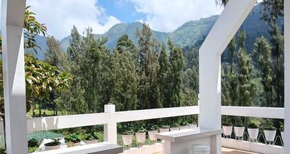Pulmo Guesthouse Bromo