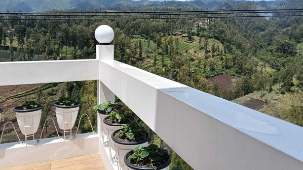 Varanda com plantas em vasos e vista para uma paisagem montanhosa.
