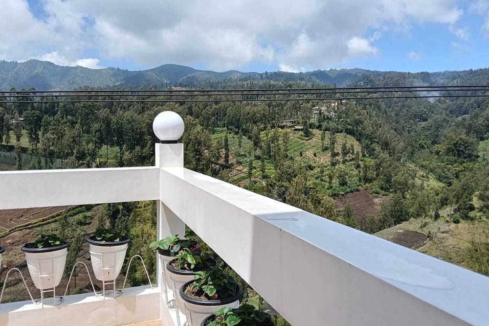 Pulmo Guesthouse Bromo