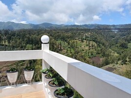 Vista desde la propiedad