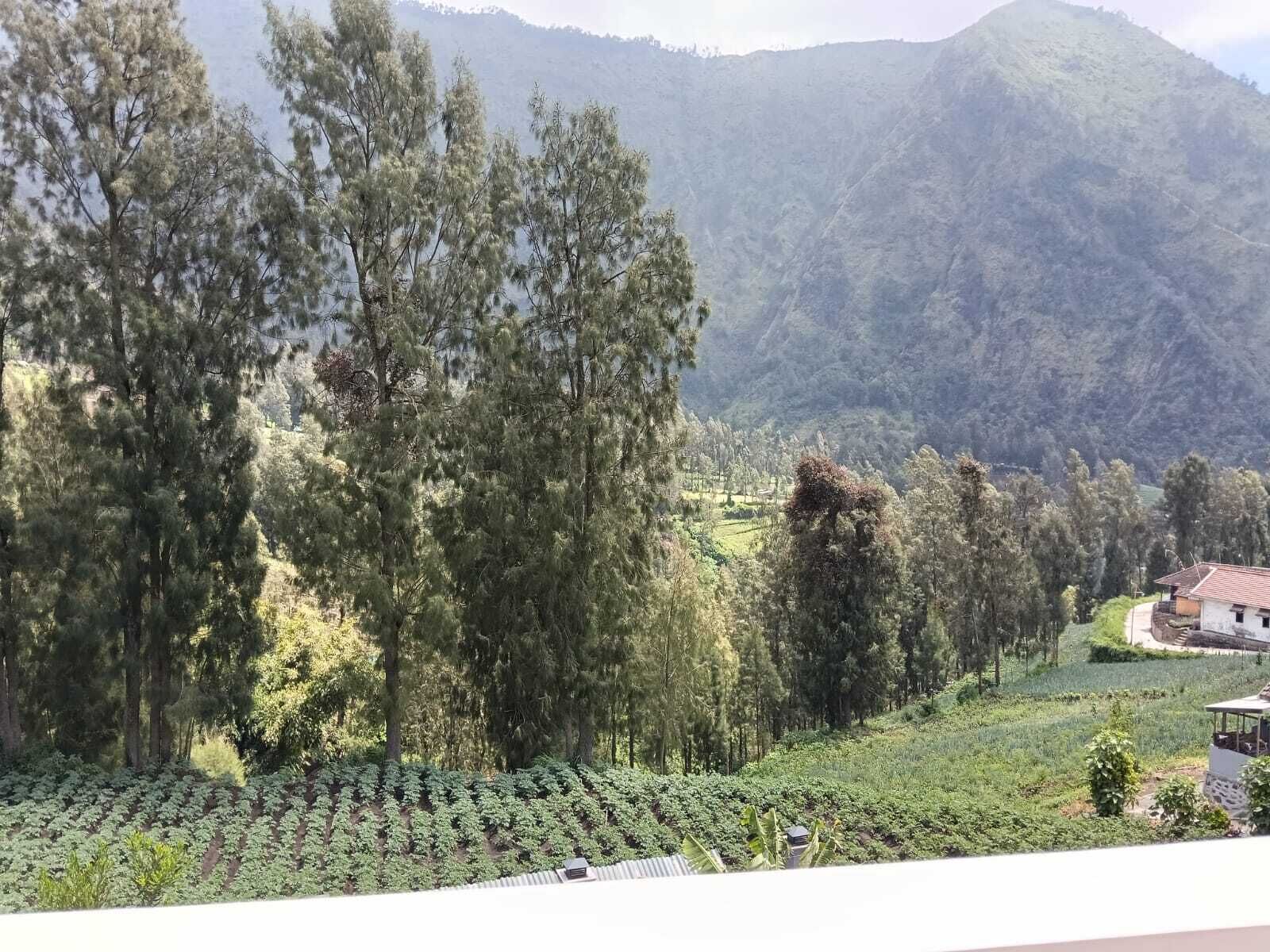 Vista de un paisaje montañoso con bosques densos y un edificio pequeño a lo lejos.