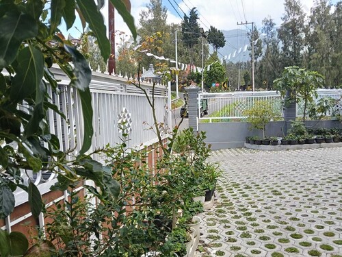 Pulmo Guesthouse Bromo